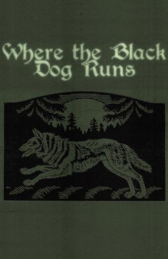 Where the Black Dog Runs (2026)