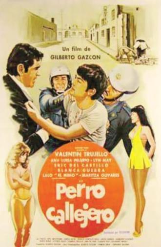 Perro callejero (1980)