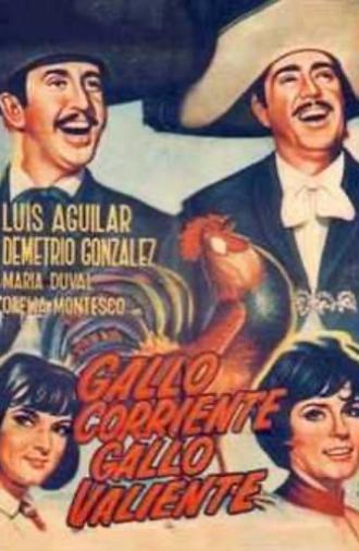 Gallo corriente, gallo valiente (1966)