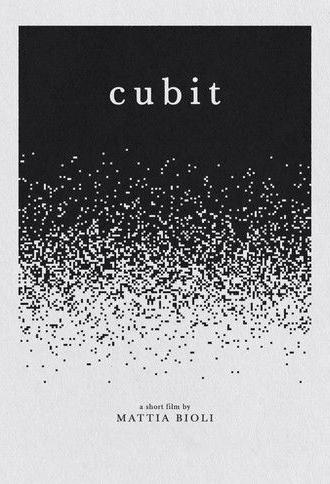 Cubit (2025)