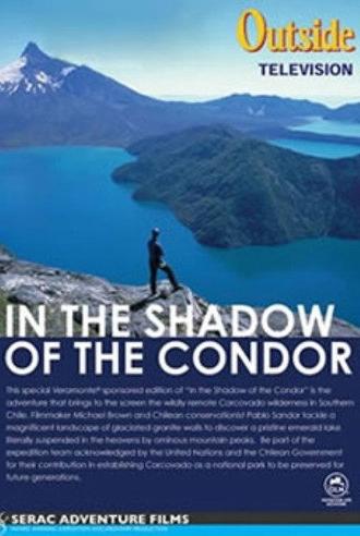 In the Shadow of the Condor (2002)
