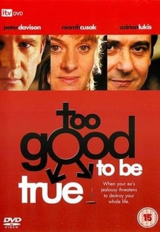 Too Good to Be True (2003)