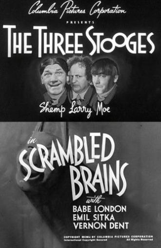 Scrambled Brains (1951)