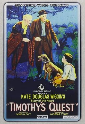 Timothy's Quest (1922)