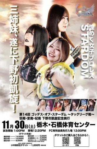 Stardom 14th Goddesses of Stardom Tag League ~ Hanan, Hina & Rina: Shimotsuke Triumphant Commemorative Event (2024)