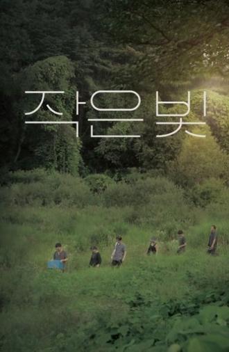 Tiny Light (2020)
