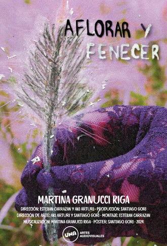 Emerge & Fade (2024)