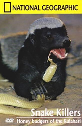 Snake Killers - Honey badgers of the Kalahari (2001)