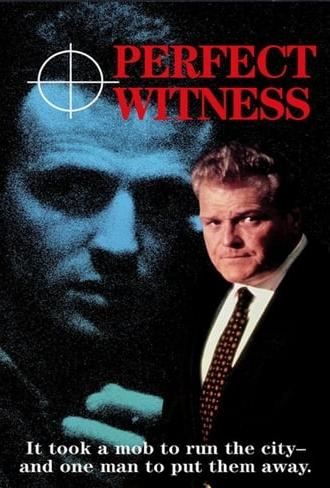 Perfect Witness (1989)