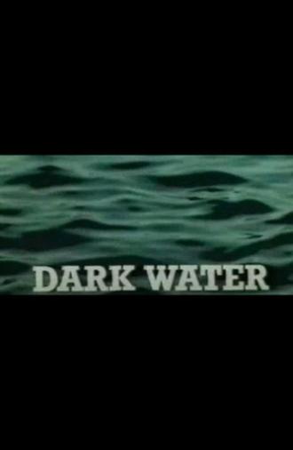 Dark Water (1980)