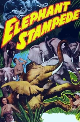 Elephant Stampede (1951)