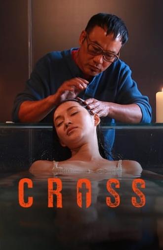 Cross (2012)