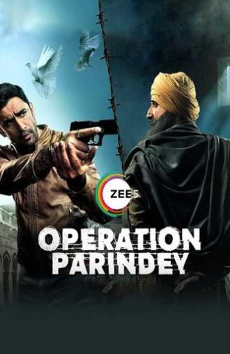 Operation Parindey (2020)