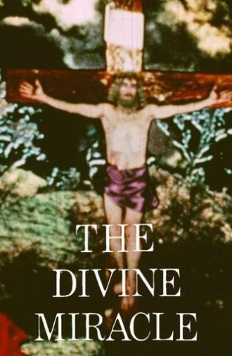 The Divine Miracle (1973)