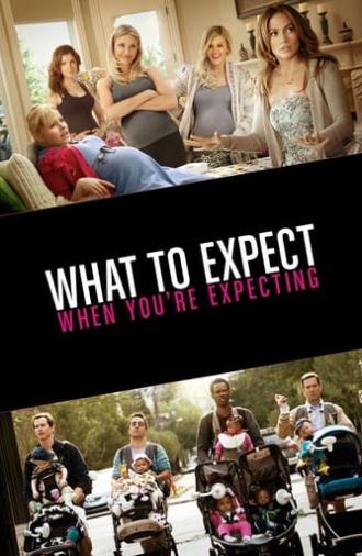 What to Expect When You're Expecting (2012)