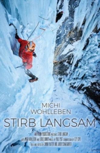 Stirb Langsam (2017)