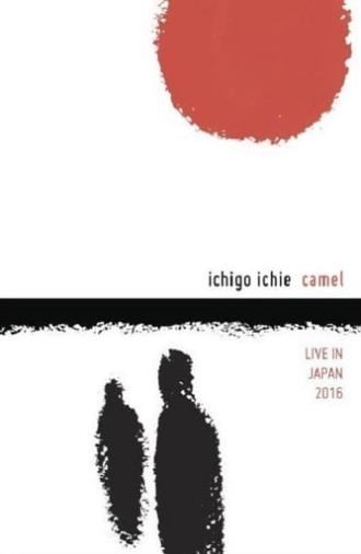 Camel: Ichigo Ichie - Live in Japan 2016 (2017)