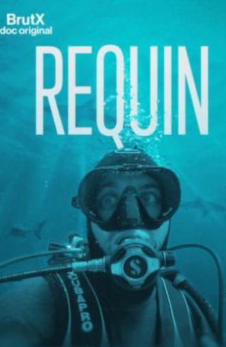 Requin (2022)