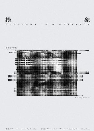Elephant in a Haystack (2022)