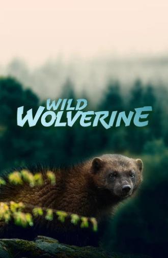 Wild Wolverine (2020)