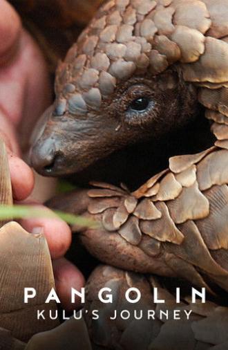 Pangolin: Kulu's Journey (2025)