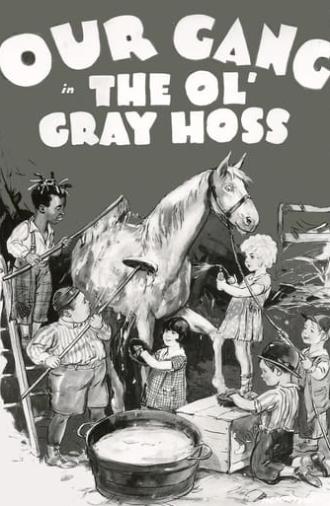 The Ol' Gray Hoss (1928)