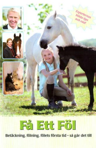 Få ett föl (2011)