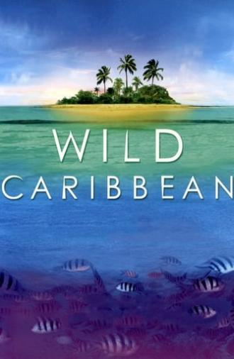 Wild Caribbean (2007)