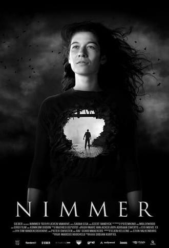 Nimmer (2017)