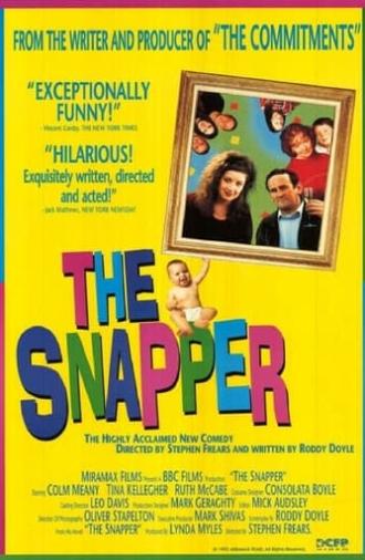 The Snapper (1993)