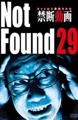 Not Found 29 (2017)