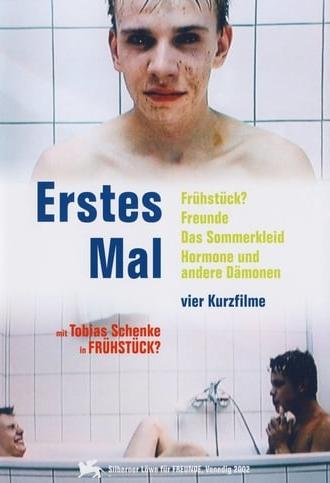 Erstes Mal - Schwule Kurzfilme (2002)