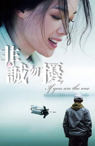 If You Are the One (2008)