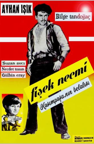 Fişek Necmi (1965)