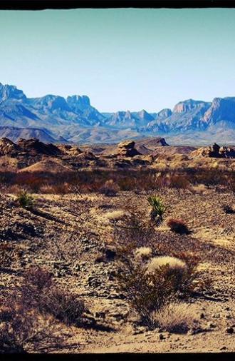 Wolves Inside (2019)