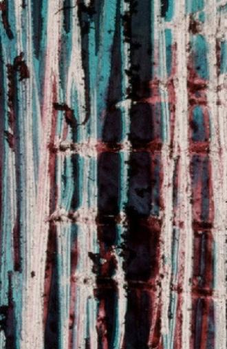 Everything Is Spinning (1978)