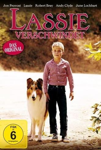 Lassie: Disappearance (1964)