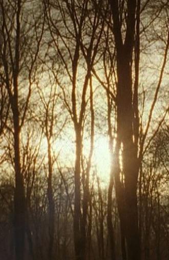 Aspect (2004)