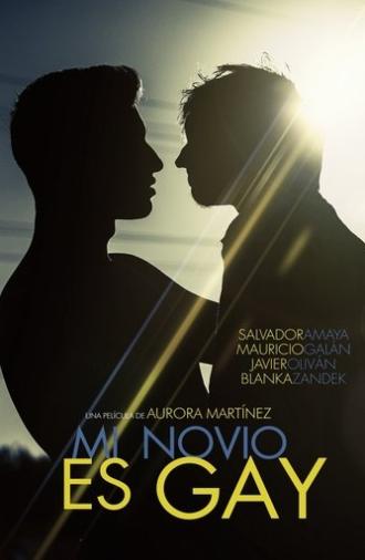 My Boyfriend Is Gay (2015)