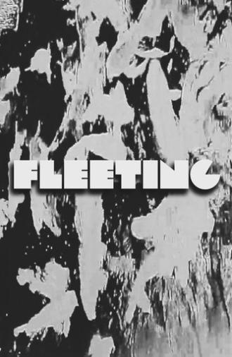 FLEETING (2025)