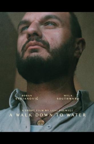 A Walk Down to Water (2019)