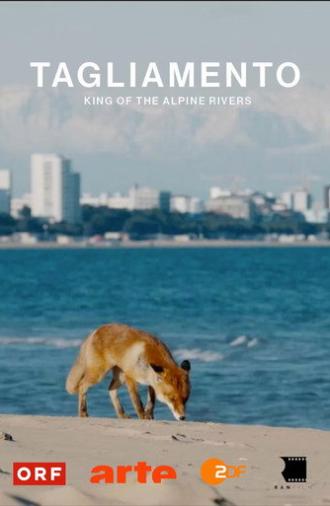 Tagliamento - King of The Alpine Rivers (2024)