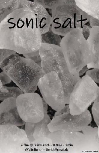 sonic salt (2025)