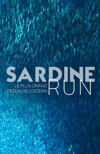 Sardine Run, le plus grand festin de l'océan (2022)