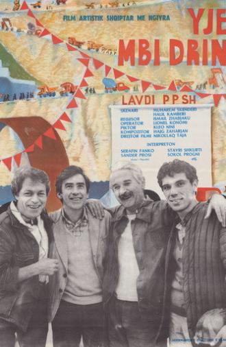 Stars Over the River Drin (1978)