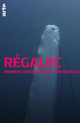 Régalec, premiers contacts avec le poisson roi (2019)