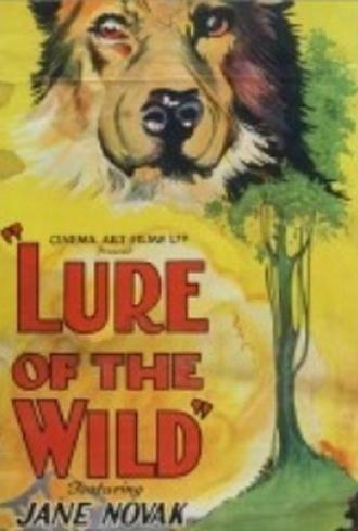 The Lure of the Wild (1925)