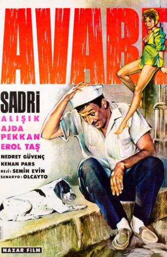 Avare (1965)