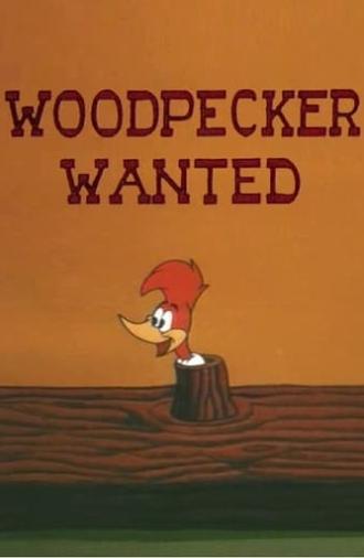 Woodpecker Wanted (1965)