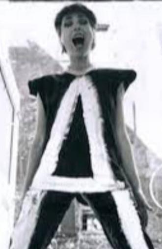 IT’S A to Z: The ART OF ARLEEN SCHLOSS (2024)